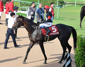 【注目馬動向】春２冠の雪辱へセントライト記念４着のアスクエジンバラは菊花賞に挑む