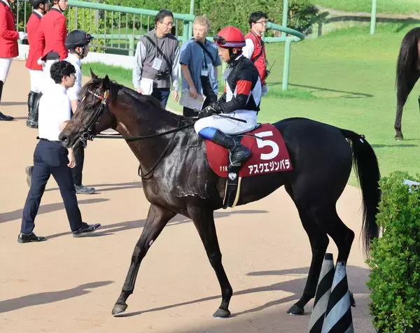 【注目馬動向】春２冠の雪辱へセントライト記念４着のアスクエジンバラは菊花賞に挑む