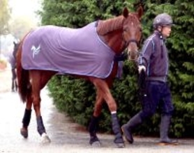 【有馬記念】昨年以上の結果を期待できるダノンデサイル　陣営「去年よりも落ち着いている感じがします」