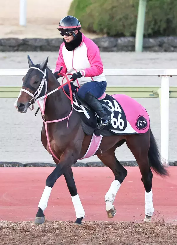 【シンザン記念】レシステンシアの半弟バルセシートが重賞初制覇を狙う　松下調教師「巻き返したいですね」