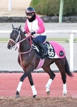 【シンザン記念】レシステンシアの半弟バルセシートが重賞初制覇を狙う　松下調教師「巻き返したいですね」