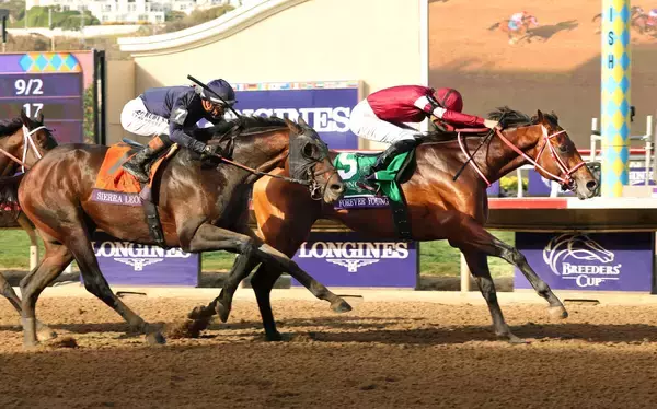 【ＪＲＡ賞】ベストＪＲＡ・Ｇ１賞の創設を期待　迷わずフォーエバーヤングに投票も日本でのＧ１も好レースずらり