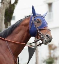 【中山記念】レーベンスティールが４年連続のＧ２勝利　戸崎圭太騎手は同レース初勝利