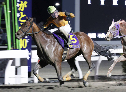 【高知・御厨人窟賞】「３連単もすごい配当...」１１番人気ジョウショーホープ大金星に岡村卓弥騎手もビックリ