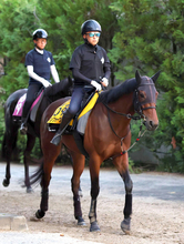 【北九州記念】初の１２００メートル戦に挑むランフォーヴァウ　福永調教師「前走の１４００メートルの内容なら。カナロアだし」