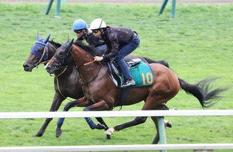 【札幌２歳Ｓ】デザートスピリットは中１週でも出来落ちなし　余裕のある動きに平岩調教師「いい意味で平行線で」