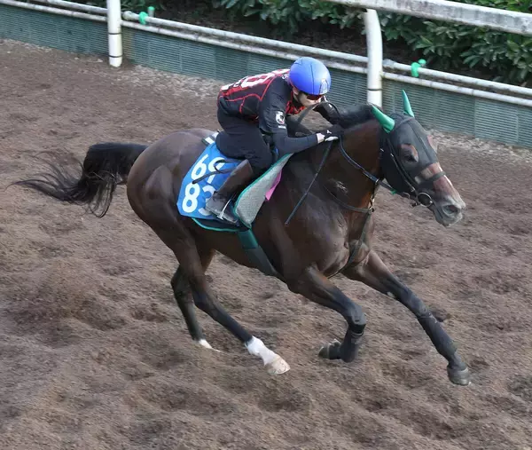 【京都大賞典・ヤマタケの特注馬】凱旋門賞ウィークにキズナ産駒　実は長距離で中身濃い走りを続けてきたサヴォーナの激走！