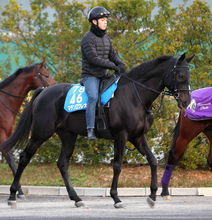 土曜阪神競馬場の注目激走馬…阪神１１Ｒ鳴尾記念・Ｇ３