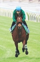 【香港カップ】ベラジオオペラがロマンチックウォリアー４連覇阻止へ鋭伸　上村調教師「勝つつもりで来ている」