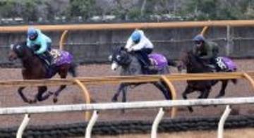 【有馬記念１週前】ジャパンＣ競走中止のアドマイヤテラは遅れも心配無用　友道調教師「目立った動きをする馬ではない」