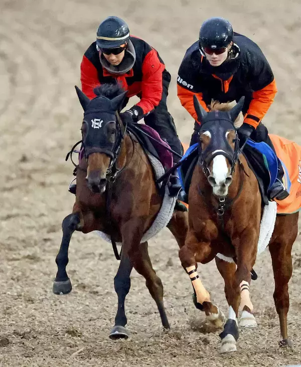 【フェアリーＳ】半兄は京都金杯Ｖブエナオンダ　抽選対象のノーザンタイタンに中舘調教師「血統はウソをつかない」　