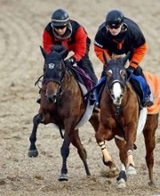 【フェアリーＳ】半兄は京都金杯Ｖブエナオンダ　好仕上がりのノーザンタイタンに中舘調教師「まずは抽選を突破」　