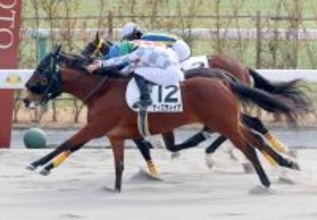 【京都４Ｒ・３歳新馬】近親にルヴァンスレーヴの良血ティエラレイナが鼻差Ｖ　岩田望来騎手「馬の力を信じて」