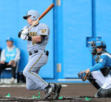 「【阪神】新助っ人キャム・ディベイニーが達孝太から来日初安打の中前打…３番・遊撃スタメン」の画像1