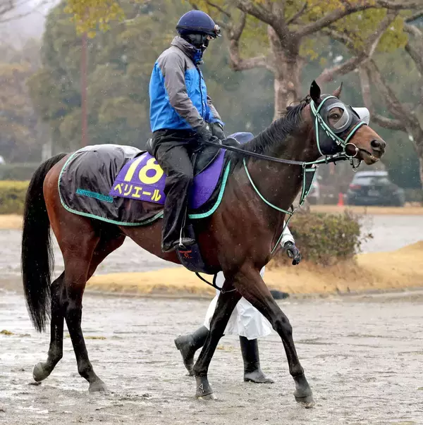 【フェブラリーＳ】ペリエールは舞台好転でＧ１再挑戦　黒岩調教師「東京マイルは力を出せる舞台」
