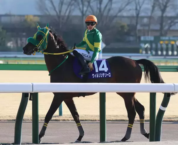 【フェブラリーＳ】ウィルソンテソーロはＧ１・４度目の２着　川田将雅騎手「どうしても勝つことができませんでした」