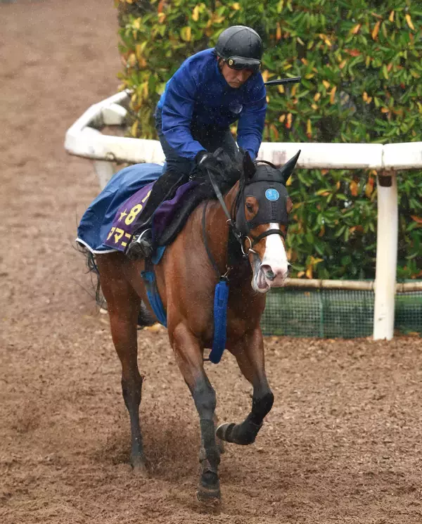 【東京スプリント】唯一の牝馬ママコチャは５着　「今日できる精一杯の走りです」川田将雅騎手は１６年ぶり勝利ならず