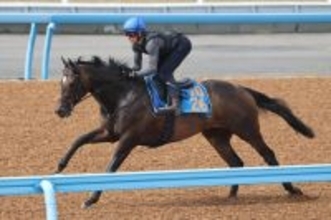 土曜阪神競馬場の注目激走馬…阪神１１Ｒアンタレスステークス・Ｇ３