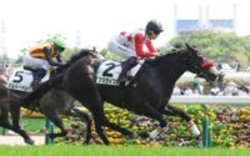 【東京６Ｒ・３歳１勝クラス】フジガイフウが大逃げの２着馬とらえる豪脚Ｖ　横山武史騎手「言うことない良い内容」
