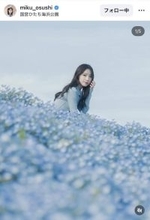 日向坂４６・金村美玖がネモフィラの海に同化する美しさ「次行くときはネモフィラソフトを食べたいな」