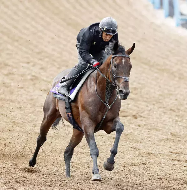 【安田記念】芝初挑戦ルクソールカフェは躍動感十分の動き　堀調教師「微調整で十分すぎるぐらい」