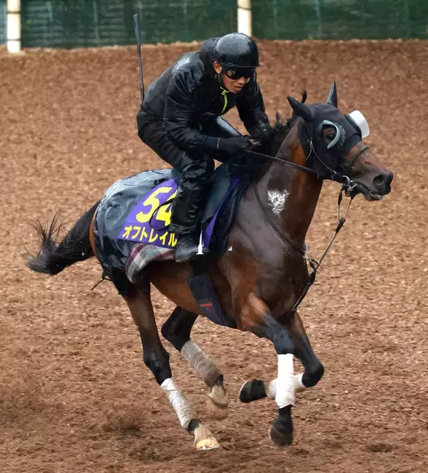 【注目馬動向】安田記念６着のオフトレイルは一戦使い、マイルＣＳを目標　吉村調教師「京都が楽しみになりましたね」