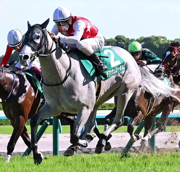 【注目馬動向】葵Ｓ勝ちのデアヴェローチェは北九州記念へ　大物候補モンローウォークはかもめ島特別で無傷３連勝狙う