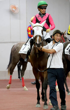 【中京３Ｒ・２歳新馬】上がり最速も届かず...２・４億円馬ベルコートは３着　川田将雅騎手「ゲートが好きじゃないので...」