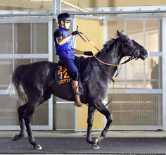 【新潟記念】日本ダービー無念の回避から復帰戦に臨むゾロアストロ　陣営「パワーアップした姿を見せられれば」
