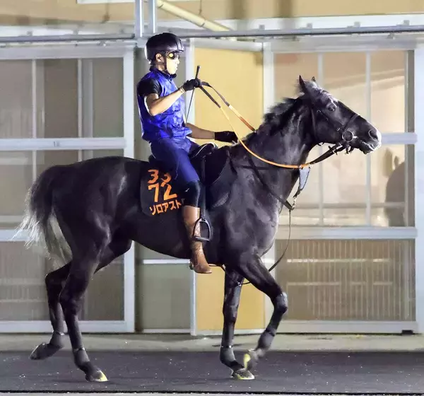 【新潟記念】日本ダービー無念の回避から復帰戦に臨むゾロアストロ　陣営「パワーアップした姿を見せられれば」