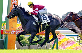 【京都５Ｒ・２歳新馬】藤田晋オーナーの１億７０００万円馬キューティボンド突き抜けた！「これからが楽しみです」福永調教師