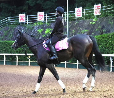 土曜京都競馬場の注目激走馬…京都１１Ｒファンタジーステークス・Ｇ３