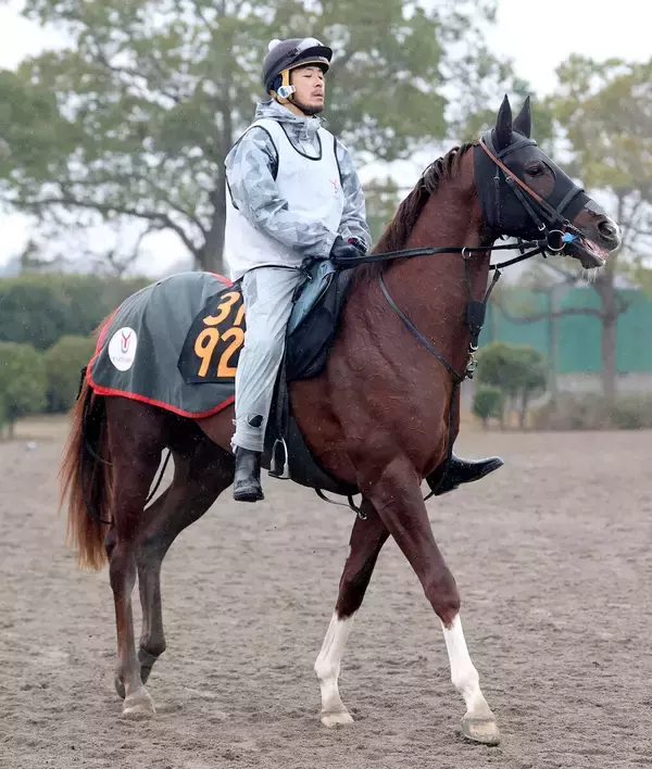 【京成杯】単勝１０倍以下が６頭の混戦ムード　単勝１番人気はグリーンエナジーで４・５倍　