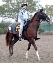 【京成杯】単勝１０倍以下が６頭の混戦ムード　単勝１番人気はグリーンエナジーで４・５倍　