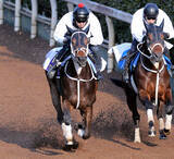 「【フェブラリーＳ・１週前】秋春ダートＧ１制覇へダブルハートボンドは坂路で先着　大久保調教師「いい動きだった」」の画像1