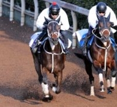 【フェブラリーＳ・１週前】秋春ダートＧ１制覇へダブルハートボンドは坂路で先着　大久保調教師「いい動きだった」