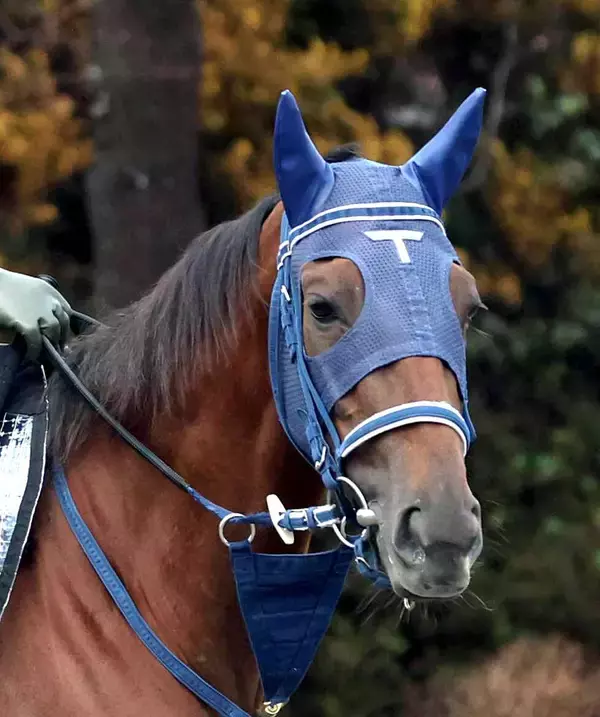 【注目馬動向】報知杯ＦＲ制覇のギリーズボールはＮＨＫマイルＣを視野　キャロットクラブが発表