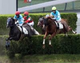 【京都４Ｒ・障害４歳以上未勝利】名手・石神深一騎手のラスト騎乗は７着　「少し優しいお父さんになろうと思います」