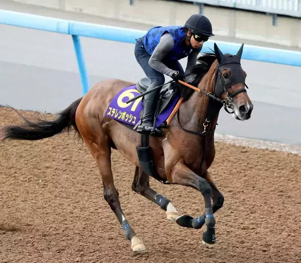 【安田記念・特選有力馬チェック】２４年の桜花賞馬ステレンボッシュは買うべき？　エプソムＣで復調示す２着