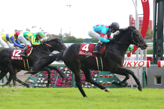 重賞３勝馬ラストインパクトが疝痛で死す　１６歳　ノーザンホースパークがＸで発表「治療を続けてまいりましたが…」