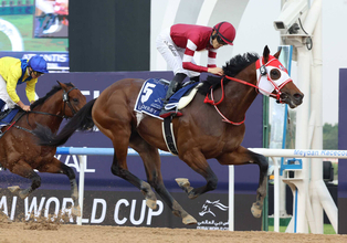 対象レースはこれ！海外馬券発売レースが今秋から大幅増　９か国で３２→１１６レースに　Ｇ１以外も対象に