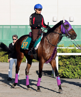 【札幌新馬・角田の特注馬】名前負けしない大物感！アイアムツヨスギルが好気配　池添謙一騎手「すごくいいものを持っている」