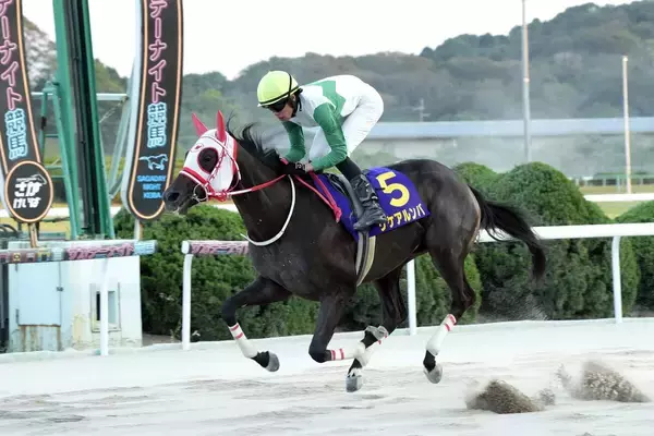 【ネクストスター佐賀】単勝１・２倍のリケアルンバが無傷３連勝で重賞初勝利　石川倭騎手「本当に強い馬」