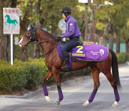 【朝日杯ＦＳ】アドマイヤクワッズで連覇＆最多４勝目がかかる友道調教師　驚異の成績を生む理念を「読み解く」
