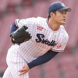 「ヤクルトを戦力外の山本大貴が「全府中野球俱楽部」で現役続行へ　独立リーグなど複数オファーの中から選択」の画像1