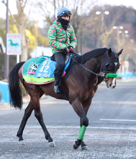 火曜東京競馬場の注目激走馬…東京１１Ｒ東京新聞杯・Ｇ３