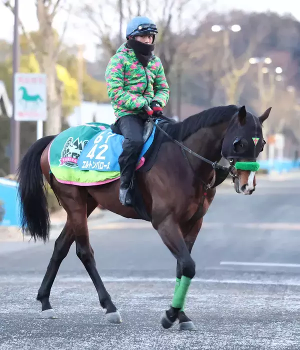 火曜東京競馬場の注目激走馬…東京１１Ｒ東京新聞杯・Ｇ３