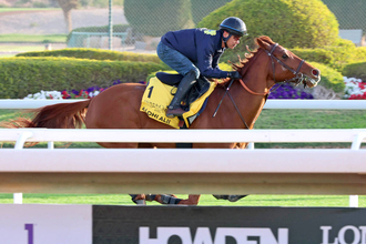 【ネオムターフＣ】田中博厩舎はアロヒアリイ、サトノボヤージュのサウジアラビア２頭出し　ともに好仕上がりで連勝狙う