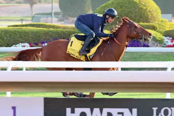 【ネオムターフＣ】田中博厩舎はアロヒアリイ、サトノボヤージュのサウジアラビア２頭出し　ともに好仕上がりで連勝狙う