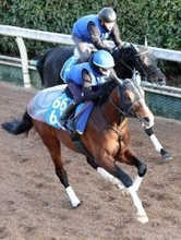 【金鯱賞・データ埋蔵金】クイーンズウォーク中心も妙味があるのは１７年以降で複勝率６２・５％の白富士Ｓ組